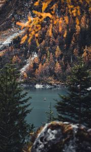 Preview wallpaper river, sailboat, forest, trees, branches