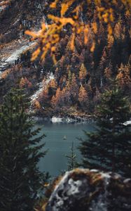 Preview wallpaper river, sailboat, forest, trees, branches