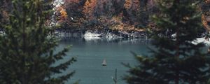 Preview wallpaper river, sailboat, forest, trees, branches
