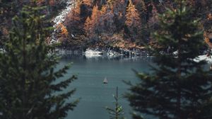 Preview wallpaper river, sailboat, forest, trees, branches