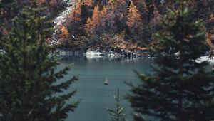 Preview wallpaper river, sailboat, forest, trees, branches