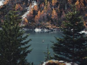 Preview wallpaper river, sailboat, forest, trees, branches