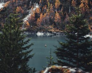 Preview wallpaper river, sailboat, forest, trees, branches