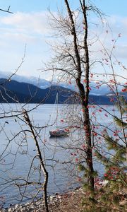 Preview wallpaper river, sailboat, trees, nature