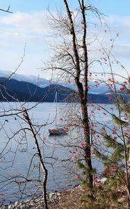 Preview wallpaper river, sailboat, trees, nature