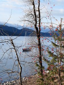 Preview wallpaper river, sailboat, trees, nature