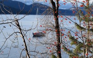 Preview wallpaper river, sailboat, trees, nature