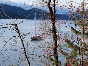 Preview wallpaper river, sailboat, trees, nature