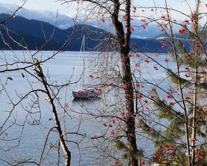 Preview wallpaper river, sailboat, trees, nature