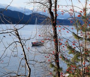 Preview wallpaper river, sailboat, trees, nature