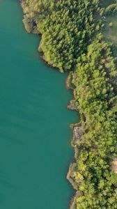 Preview wallpaper river, shore, aerial view, nature