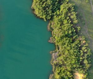 Preview wallpaper river, shore, aerial view, nature