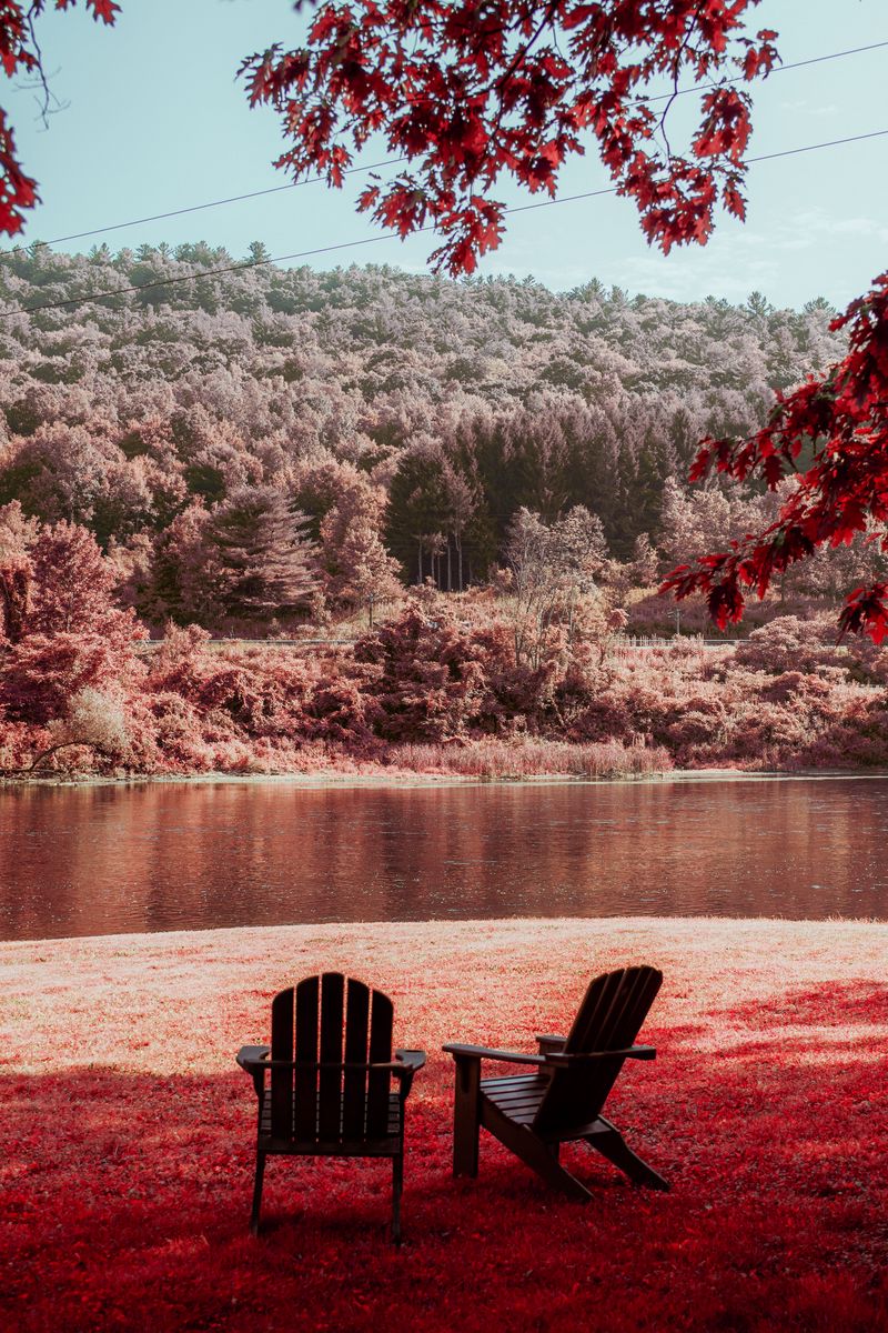 Download wallpaper 800x1200 river, shore, rest, chairs, forest, nature  iphone 4s/4 for parallax hd background
