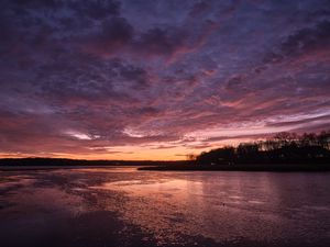 Preview wallpaper river, shore, forest, sunset, dark