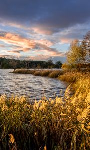 Preview wallpaper river, shore, grass, landscape, nature, trees