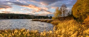 Preview wallpaper river, shore, grass, landscape, nature, trees