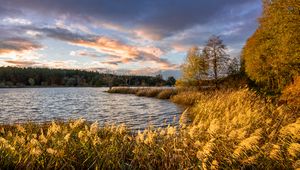 Preview wallpaper river, shore, grass, landscape, nature, trees