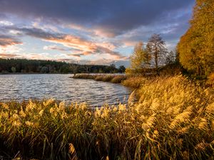 Preview wallpaper river, shore, grass, landscape, nature, trees