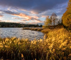 Preview wallpaper river, shore, grass, landscape, nature, trees