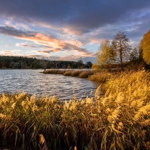 Preview wallpaper river, shore, grass, landscape, nature, trees