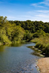 Preview wallpaper river, shore, landscape, nature, summer