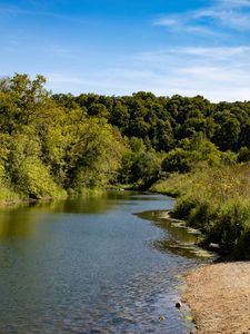 Preview wallpaper river, shore, landscape, nature, summer