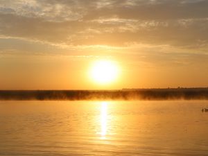 Preview wallpaper river, shore, sun, landscape, nature