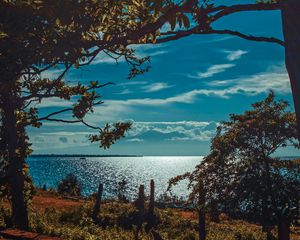 Preview wallpaper river, shore, trees, sunlight