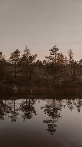 Preview wallpaper river, shore, trees, reflection, landscape