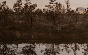 Preview wallpaper river, shore, trees, reflection, landscape