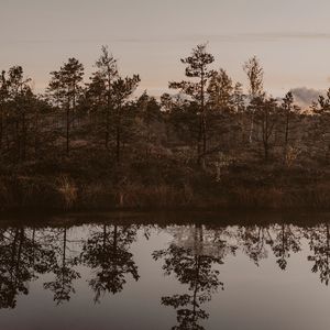 Preview wallpaper river, shore, trees, reflection, landscape