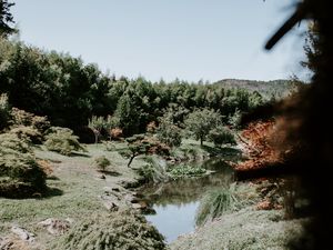 Preview wallpaper river, shore, trees, landscape, nature