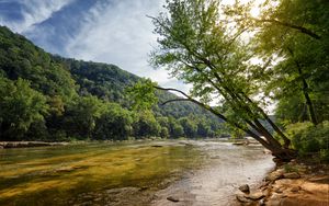 Preview wallpaper river, shore, trees, nature, landscape