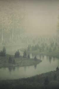 Preview wallpaper river, shore, trees, fog, art