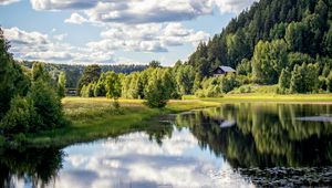 Preview wallpaper river, shore, trees, grass, clouds, reflection