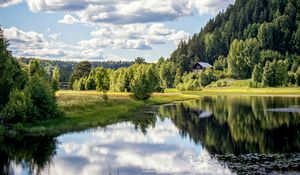 Preview wallpaper river, shore, trees, grass, clouds, reflection