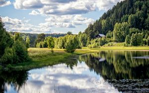 Preview wallpaper river, shore, trees, grass, clouds, reflection