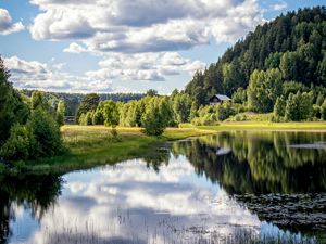 Preview wallpaper river, shore, trees, grass, clouds, reflection