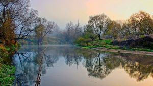 Preview wallpaper river, shore, trees, mist, morning, landscape, awakening