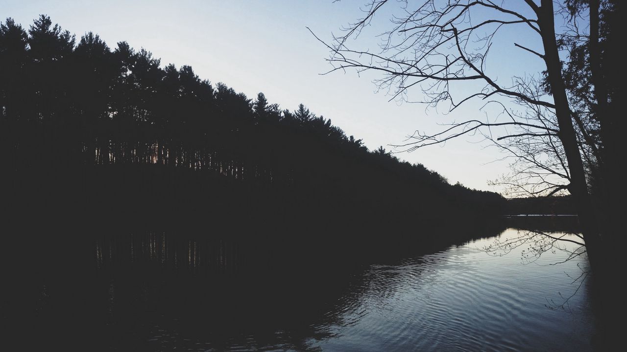 Wallpaper river, shore, trees, night