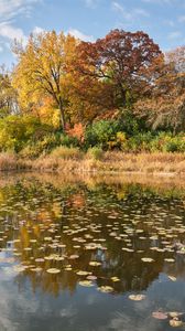 Preview wallpaper river, shore, trees, leaves, autumn