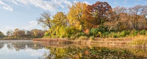 Preview wallpaper river, shore, trees, leaves, autumn