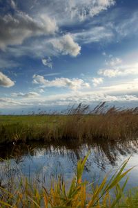 Preview wallpaper river, sky, clouds, air jordan