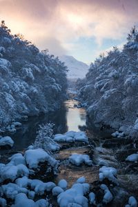 Preview wallpaper river, snow, current, mountain, trees, sky