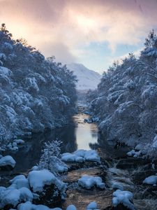 Preview wallpaper river, snow, current, mountain, trees, sky