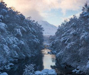 Preview wallpaper river, snow, current, mountain, trees, sky