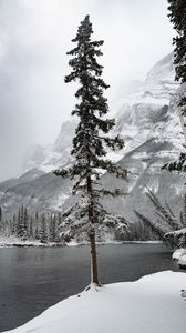 Preview wallpaper river, snow, trees, mountain, landscape