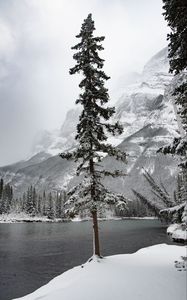 Preview wallpaper river, snow, trees, mountain, landscape