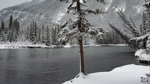 Preview wallpaper river, snow, trees, mountain, landscape