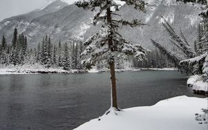 Preview wallpaper river, snow, trees, mountain, landscape